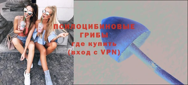 гидропоника Володарск