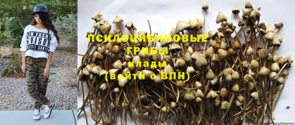 гидропоника Володарск