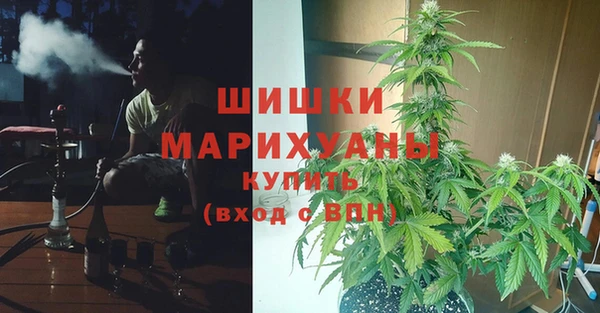 гидропоника Володарск