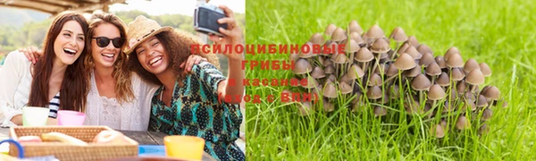 mdpv Верея
