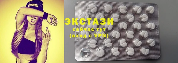 индика Краснотурьинск