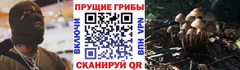 Псилоцибиновые грибы Magic Shrooms  Карабаново 